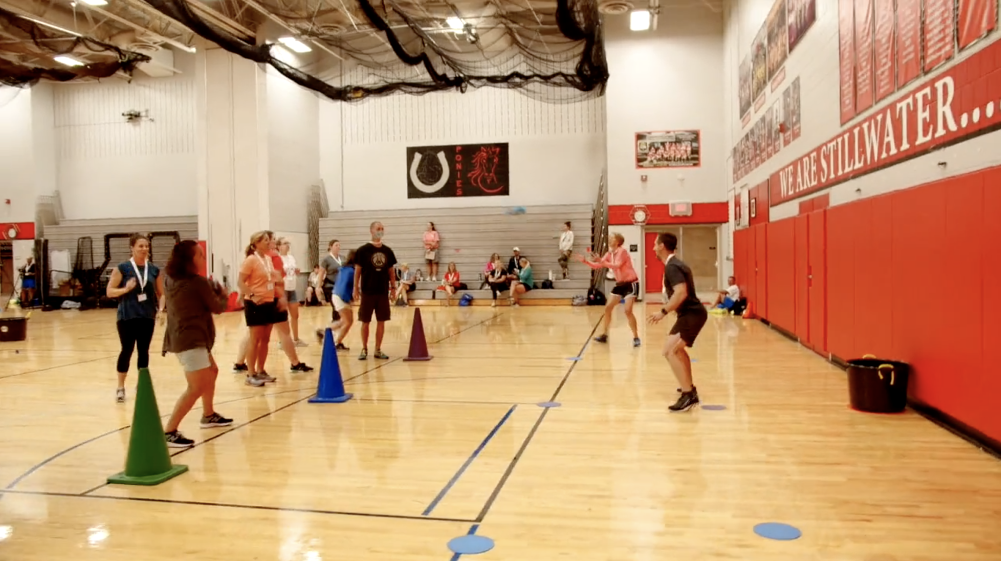 Bin Ball Gopher PE Professional Development