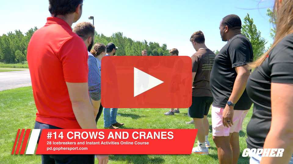 14. Crows and Cranes - Gopher PE Professional Development